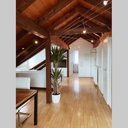 Apartament *Dreilaendereck* Wifi+ Balkon+Garage Basel Mulhouse Maulburg Zewnętrze zdjęcie