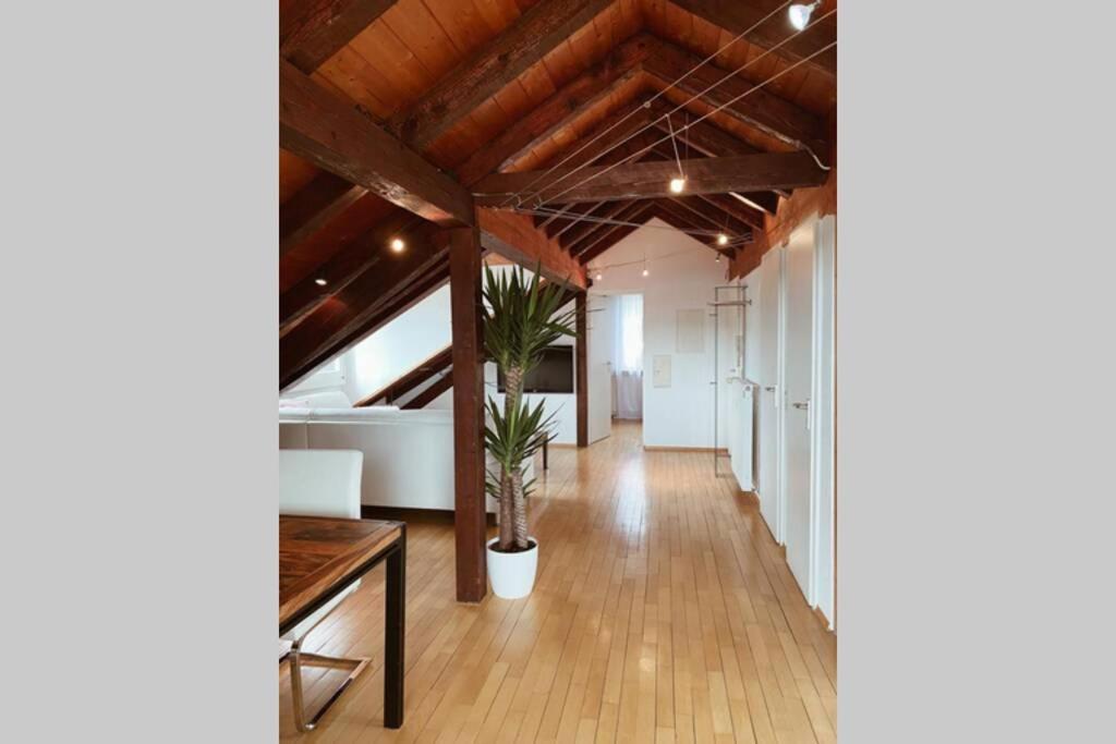 Apartament *Dreilaendereck* Wifi+ Balkon+Garage Basel Mulhouse Maulburg Zewnętrze zdjęcie