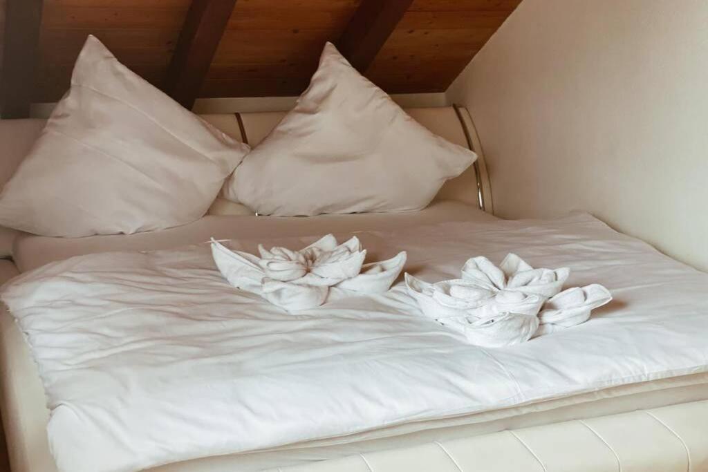 Apartament *Dreilaendereck* Wifi+ Balkon+Garage Basel Mulhouse Maulburg Zewnętrze zdjęcie