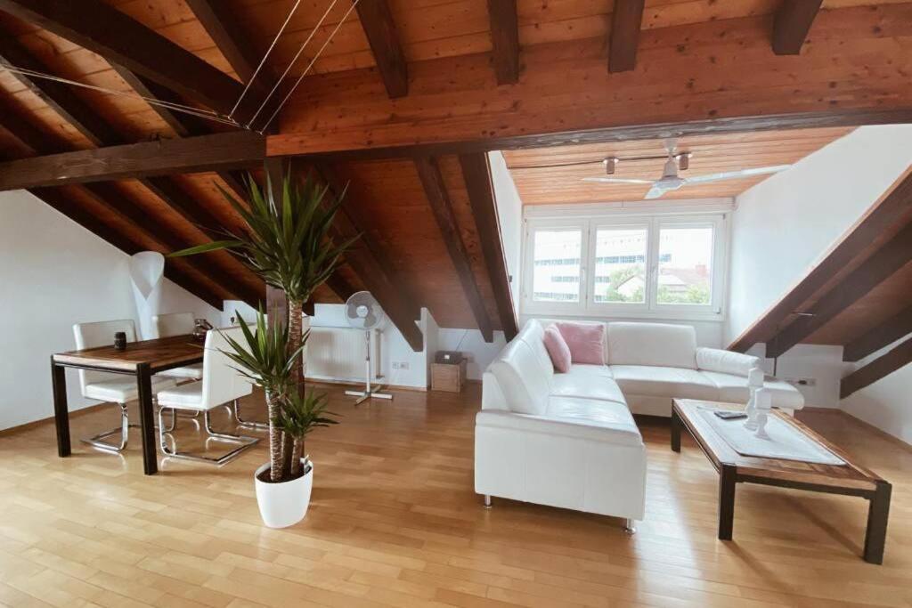 Apartament *Dreilaendereck* Wifi+ Balkon+Garage Basel Mulhouse Maulburg Zewnętrze zdjęcie