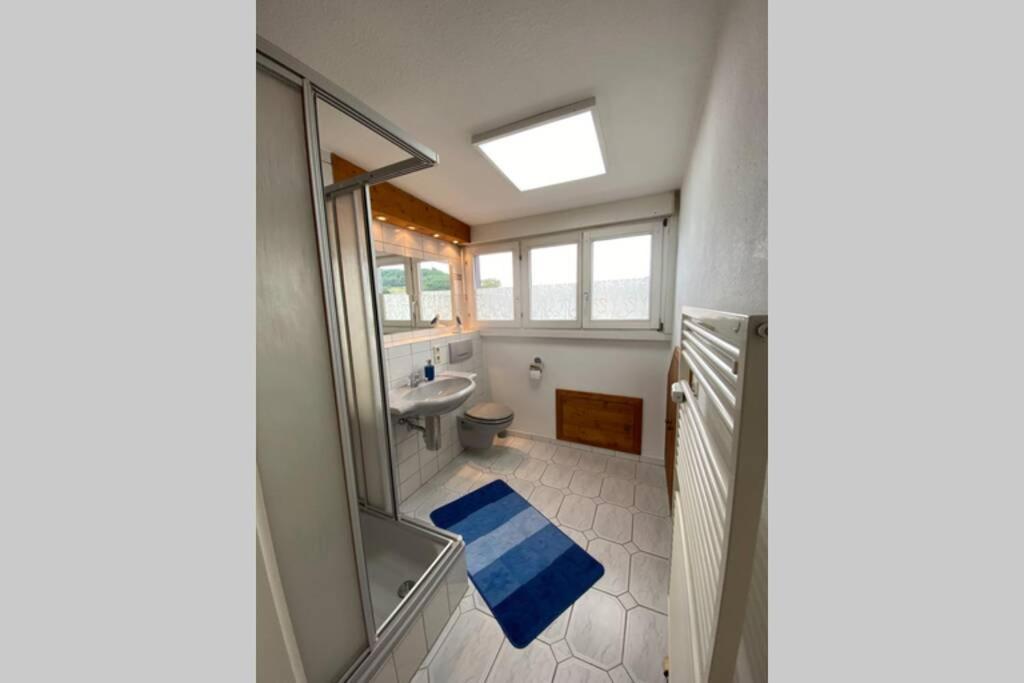 Apartament *Dreilaendereck* Wifi+ Balkon+Garage Basel Mulhouse Maulburg Zewnętrze zdjęcie