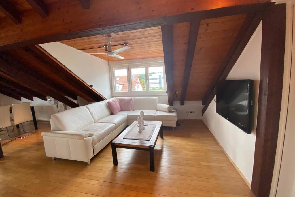 Apartament *Dreilaendereck* Wifi+ Balkon+Garage Basel Mulhouse Maulburg Zewnętrze zdjęcie